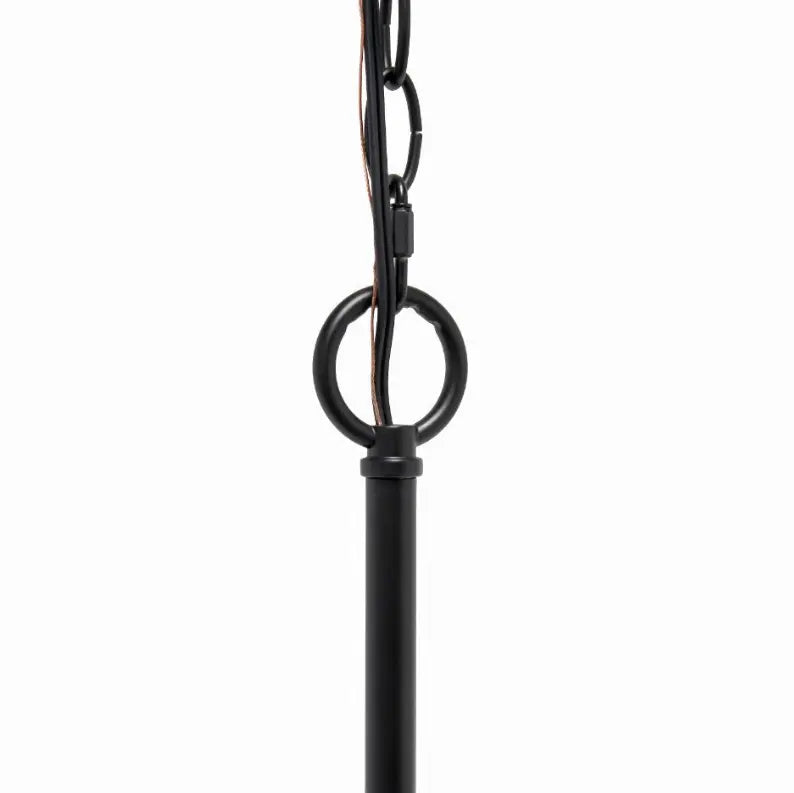 Lalia Home 5-Light 20.5" Classic Contemporary Clear Glass and Metal Hanging Pendant Chandelier All The Rages, Inc.