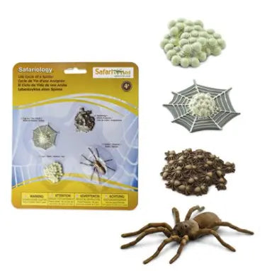 Life Cycle Of A Spider Figurine Safari LTD
