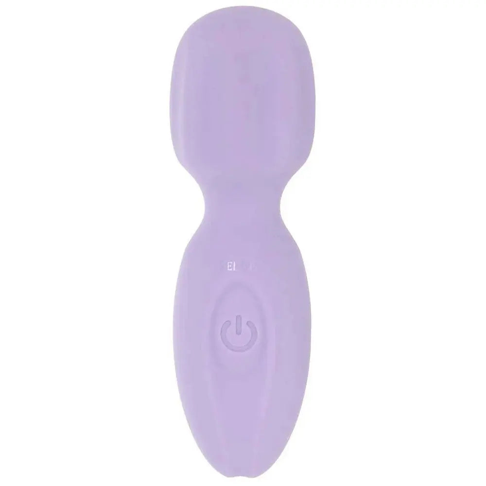 Lil Wand - Purple Evolved Novelties