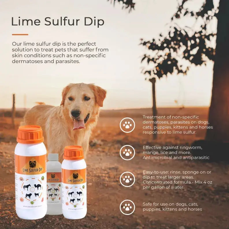 Lime Sulfur Dip Healthy Paw Life