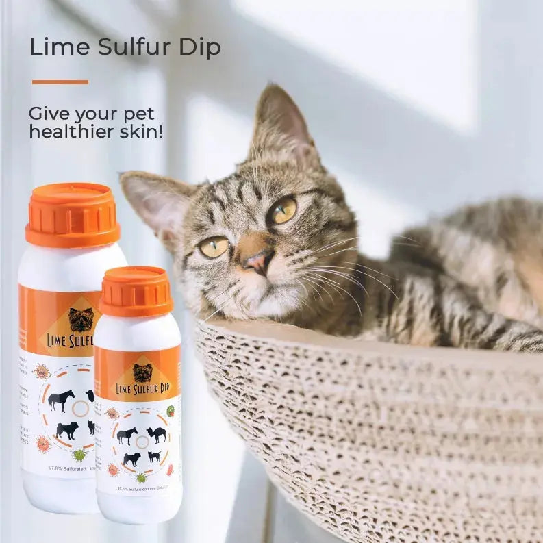 Lime Sulfur Dip Healthy Paw Life