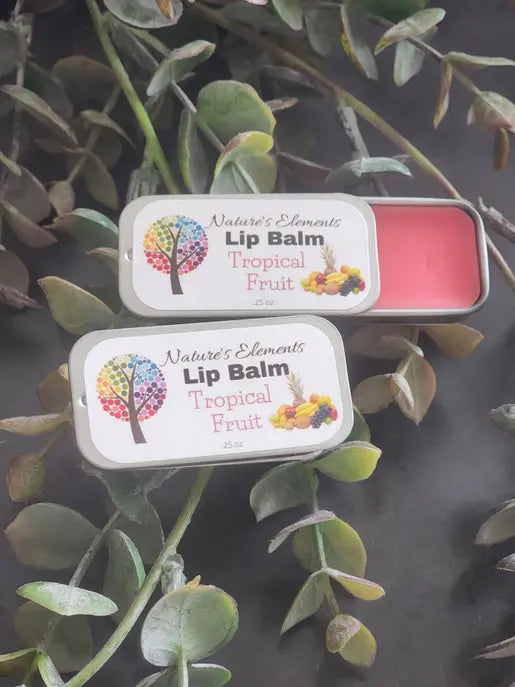 Lip Balm Natures Elements