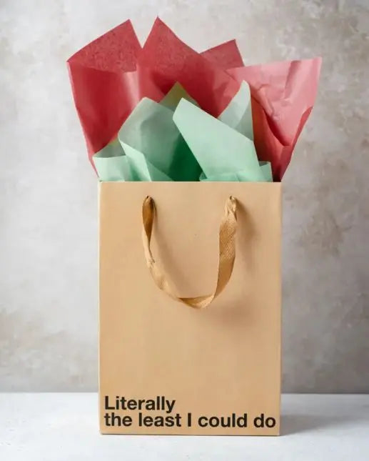 Literally The Least I Could Do Gift Bag Wood Rocket
