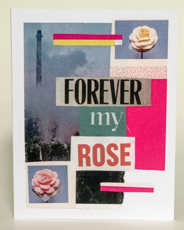 Love Greeting Card (Pack of 6) Barnes Cards, LLC