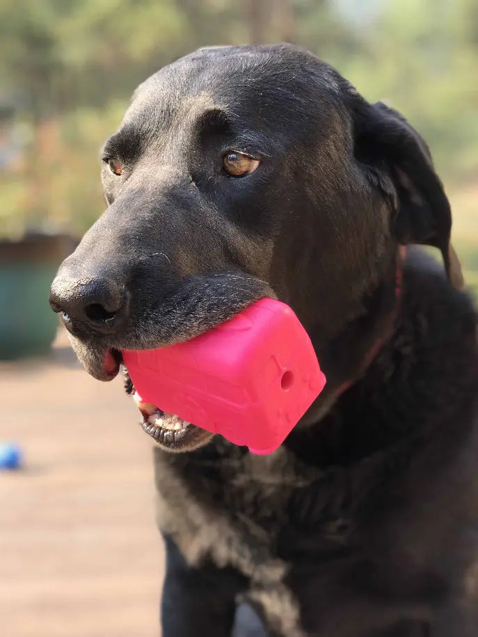 MKB Surf's Up! Retro Van  Durable Chew Toy & Treat Dispenser SodaPup
