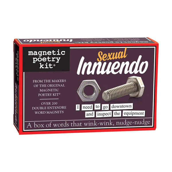 Magnetic Poetry Sexual Innuendo Edition - GreatEagleInc