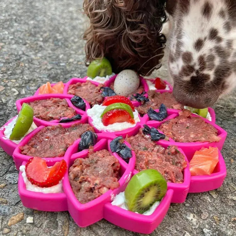 Mandala Design eTray Enrichment Tray for Dogs SodaPup