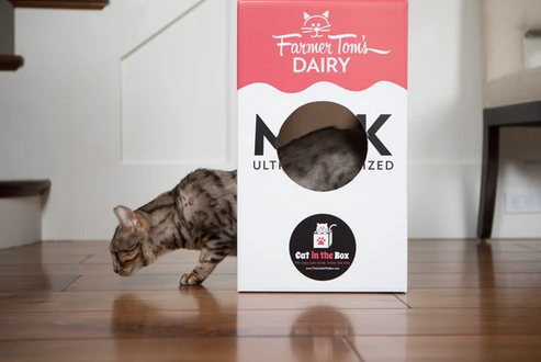 Mega Milk Carton Cardboard Cat House Cat in the Box
