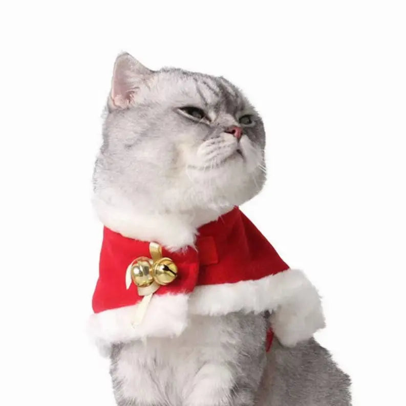Merry Christmas Pets Beautiful Clothes Pawsome Pet