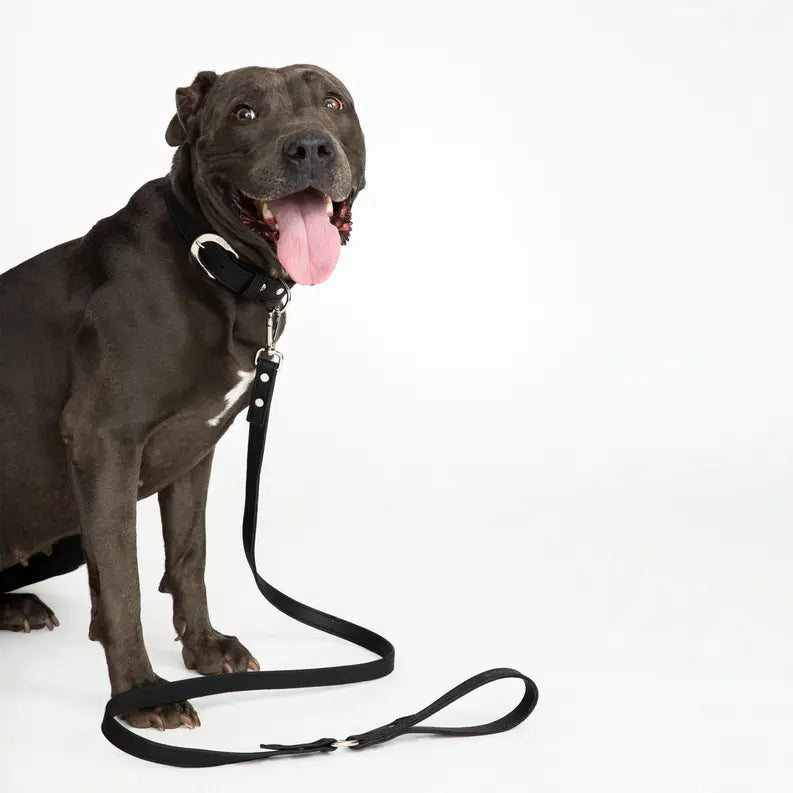 Midnight Black Cork Leather Leash DIPHDA