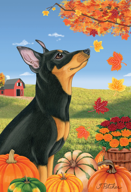 Miniature Pincsher  Black/Tan Cropped- Tomoyo Pitcher Autumn Leaves Outdoor Flag Best of Breed
