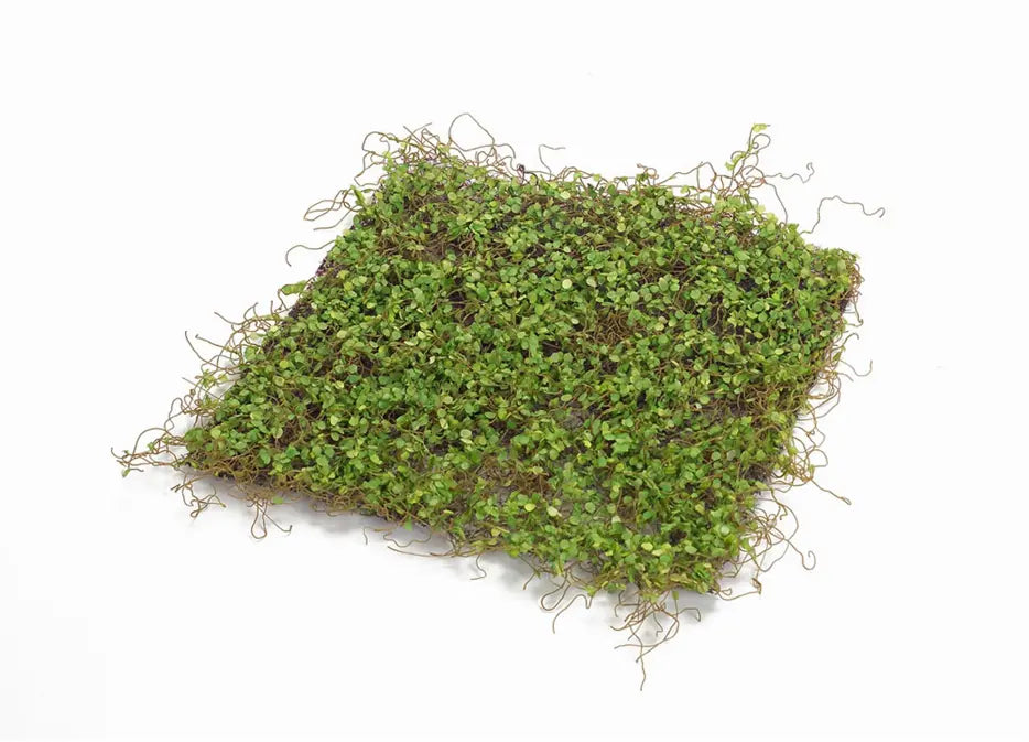 Moss Mat (Setof 12) 12"SQ Polyester/Plastic Melrose Intl.