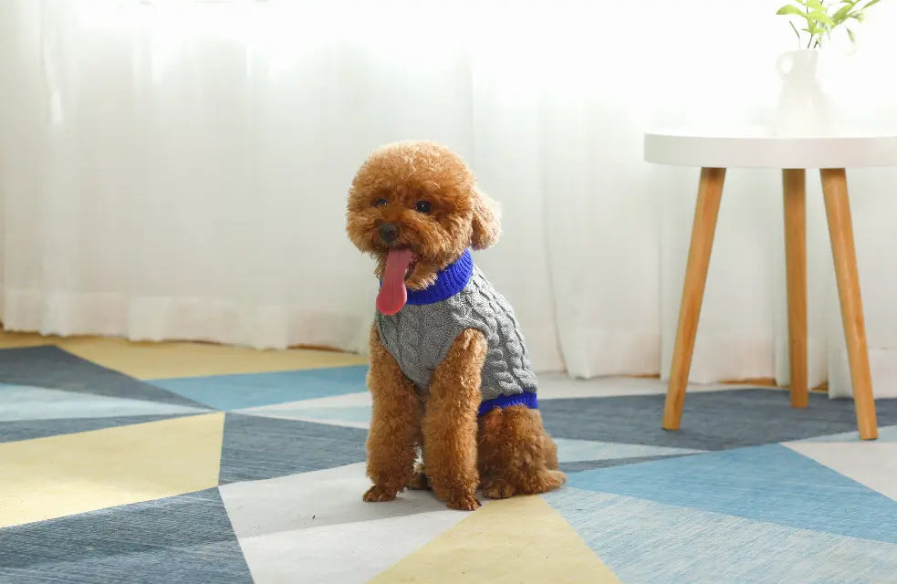 Mr. Peanut's Knitted Acrylic Dog Sweaters Mr. Peanut's Premium Products