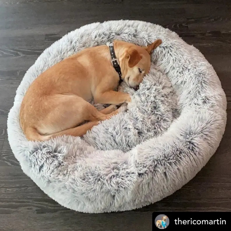 Mr. Peanut's OrthoPlush Pet Bed Mr. Peanut's Premium Products