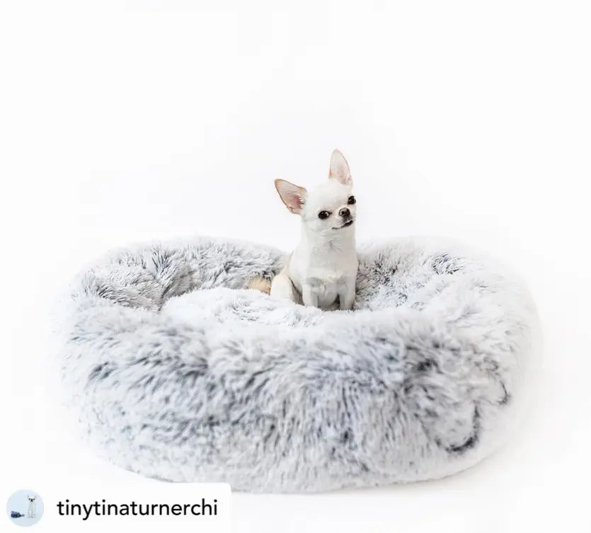 Mr. Peanut's OrthoPlush Pet Bed Mr. Peanut's Premium Products