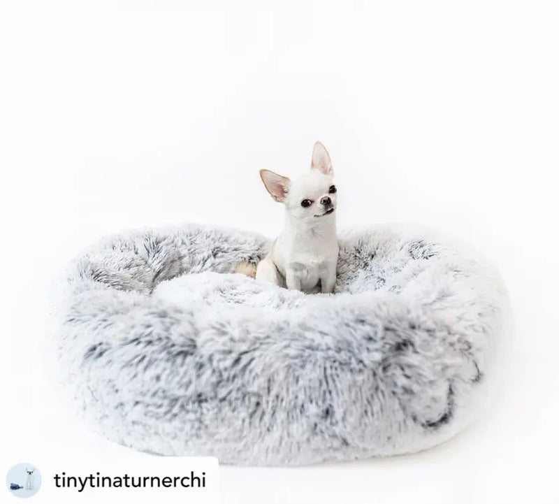 Mr. Peanut's OrthoPlush Pet Bed Mr. Peanut's Premium Products