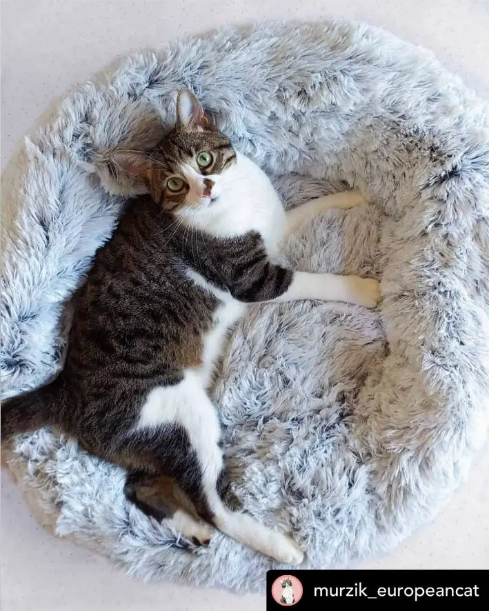 Mr. Peanut's OrthoPlush Pet Bed Mr. Peanut's Premium Products