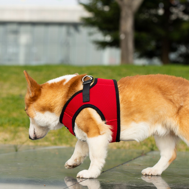 Mr. Peanut's PupTrek Small Dog/Cat Soft Mesh Step In Harness Vest Mr. Peanut's Premium Products
