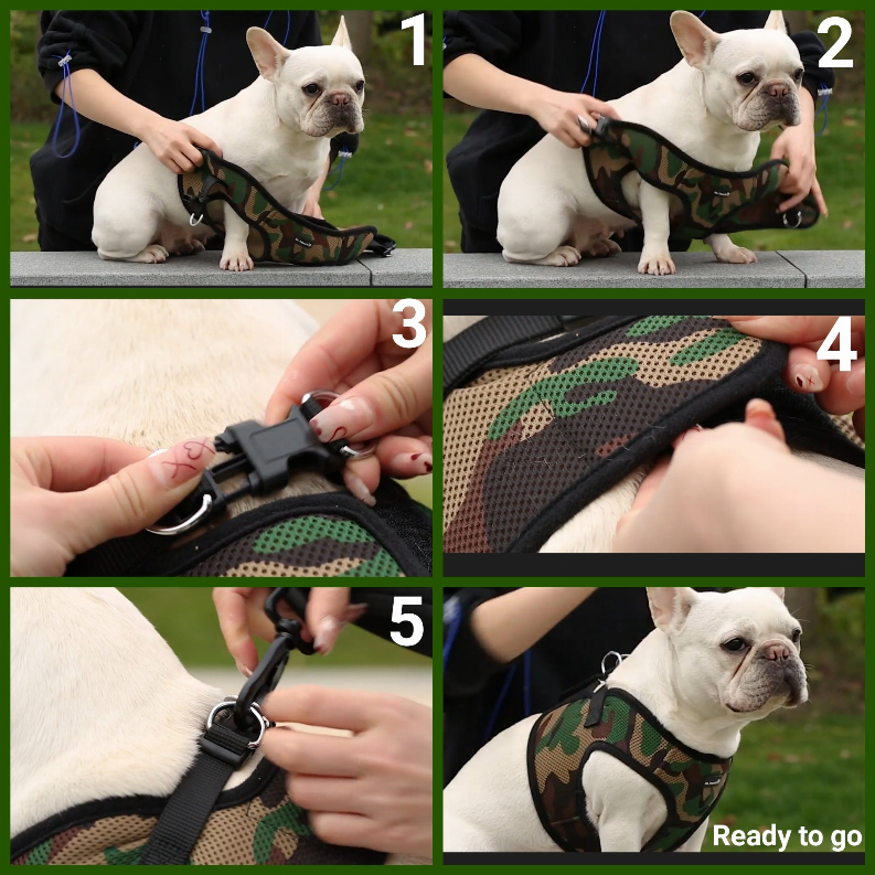 Mr. Peanut's PupTrek Small Dog/Cat Soft Mesh Step In Harness Vest Mr. Peanut's Premium Products