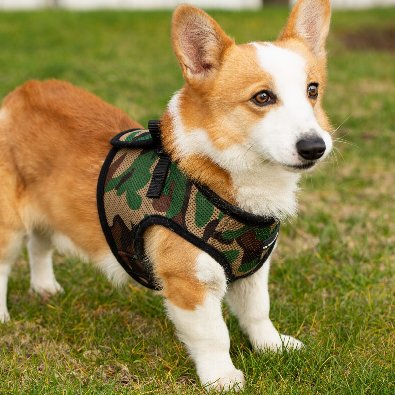Mr. Peanut's PupTrek Small Dog/Cat Soft Mesh Step In Harness Vest Mr. Peanut's Premium Products
