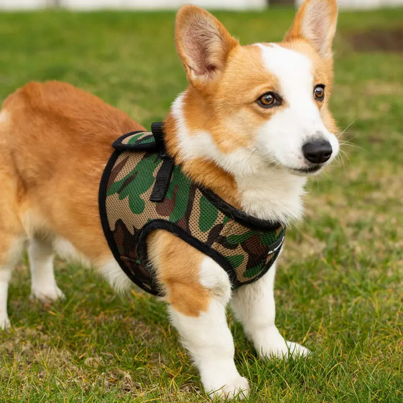 Mr. Peanut's PupTrek Small Dog/Cat Soft Mesh Step In Harness Vest Mr. Peanut's Premium Products