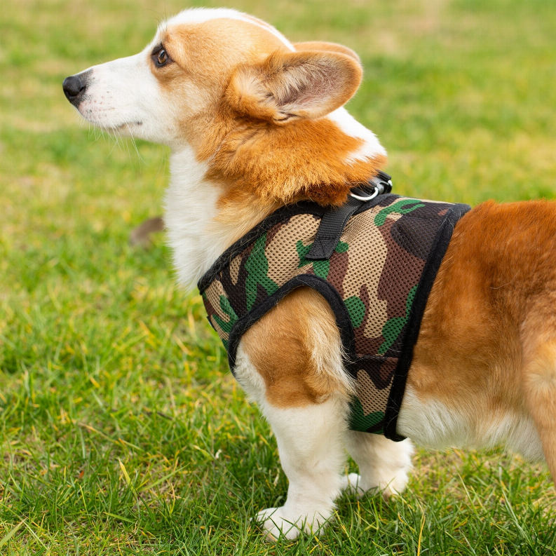 Mr. Peanut's PupTrek Small Dog/Cat Soft Mesh Step In Harness Vest Mr. Peanut's Premium Products