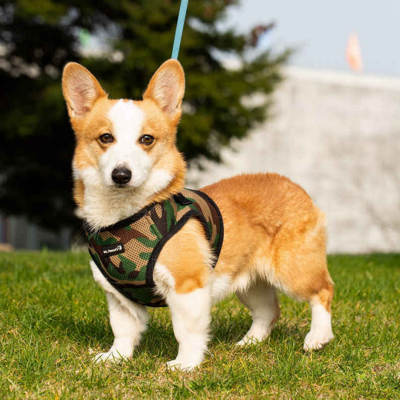 Mr. Peanut's PupTrek Small Dog/Cat Soft Mesh Step In Harness Vest Mr. Peanut's Premium Products