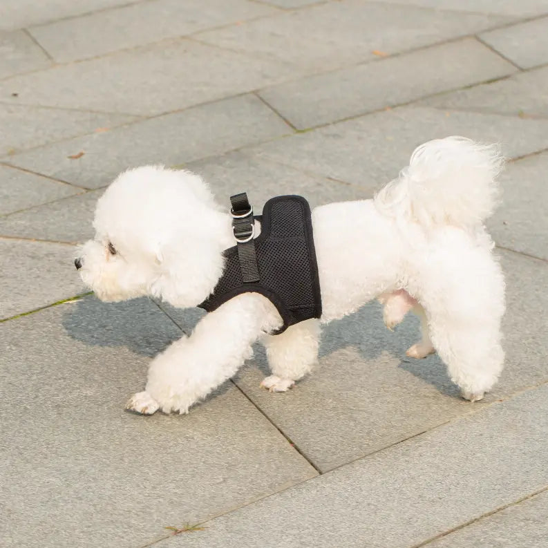 Mr. Peanut's PupTrek Small Dog/Cat Soft Mesh Step In Harness Vest Mr. Peanut's Premium Products