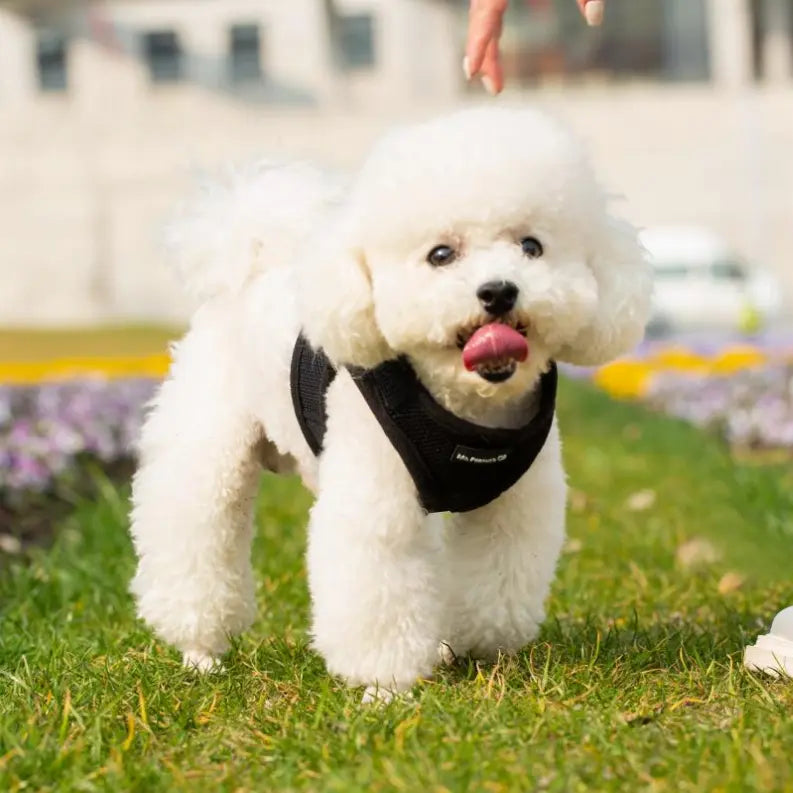 Mr. Peanut's PupTrek Small Dog/Cat Soft Mesh Step In Harness Vest Mr. Peanut's Premium Products