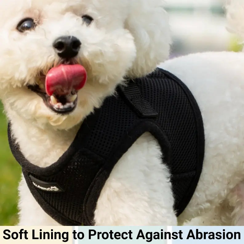 Mr. Peanut's PupTrek Small Dog/Cat Soft Mesh Step In Harness Vest Mr. Peanut's Premium Products