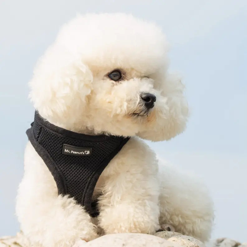 Mr. Peanut's PupTrek Small Dog/Cat Soft Mesh Step In Harness Vest Mr. Peanut's Premium Products