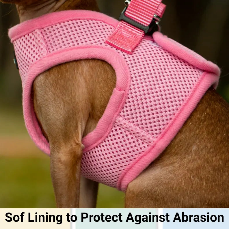 Mr. Peanut's PupTrek Small Dog/Cat Soft Mesh Step In Harness Vest Mr. Peanut's Premium Products
