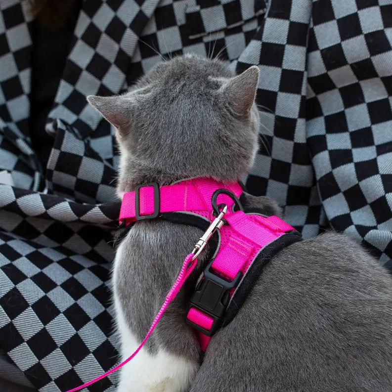 Mr. Peanut's PurrTrek Reflective Cat Harness with Matching Leash Mr. Peanut's Premium Products