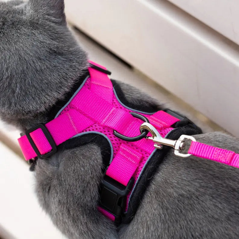 Mr. Peanut's PurrTrek Reflective Cat Harness with Matching Leash Mr. Peanut's Premium Products