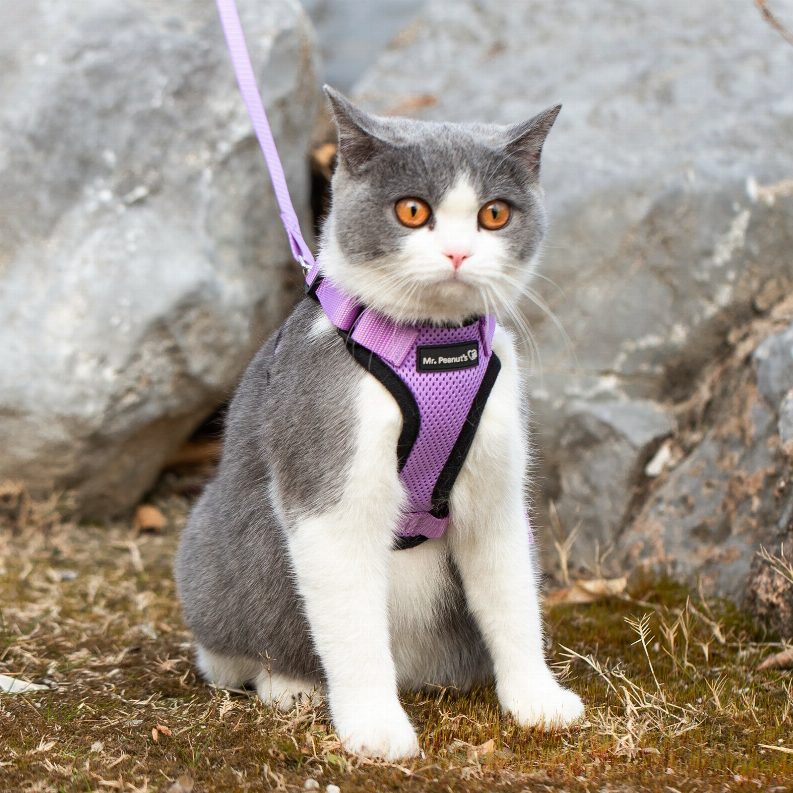 Mr. Peanut's PurrTrek Reflective Cat Harness with Matching Leash Mr. Peanut's Premium Products
