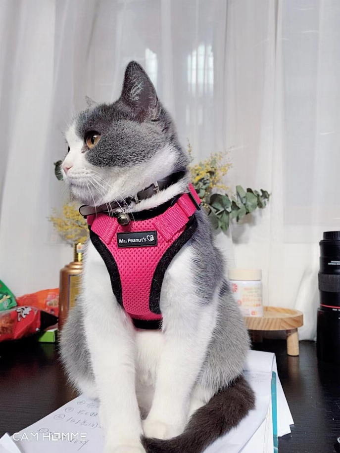 Mr. Peanut's PurrTrek Reflective Cat Harness with Matching Leash Mr. Peanut's Premium Products