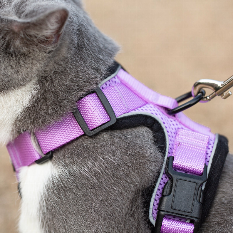 Mr. Peanut's PurrTrek Reflective Cat Harness with Matching Leash Mr. Peanut's Premium Products