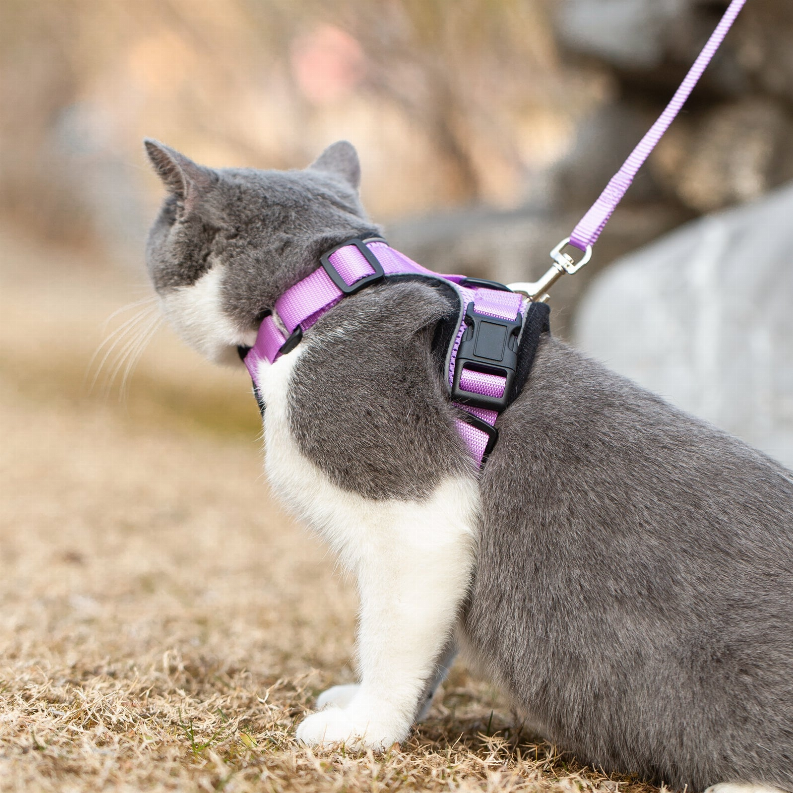 Mr. Peanut's PurrTrek Reflective Cat Harness with Matching Leash Mr. Peanut's Premium Products