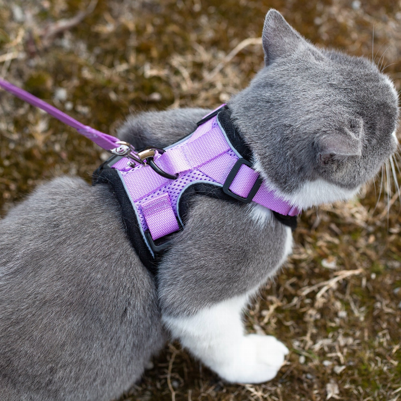Mr. Peanut's PurrTrek Reflective Cat Harness with Matching Leash Mr. Peanut's Premium Products