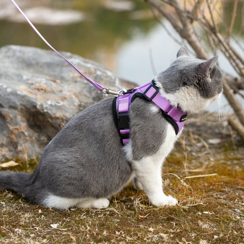 Mr. Peanut's PurrTrek Reflective Cat Harness with Matching Leash Mr. Peanut's Premium Products