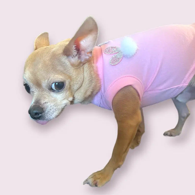 My Fuzzy Easter Bunny Dog Shirt Bark Fifth Avenue