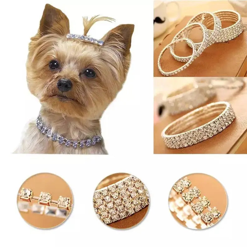 My Mini Bling Rhinestone Collar Bark Fifth Avenue