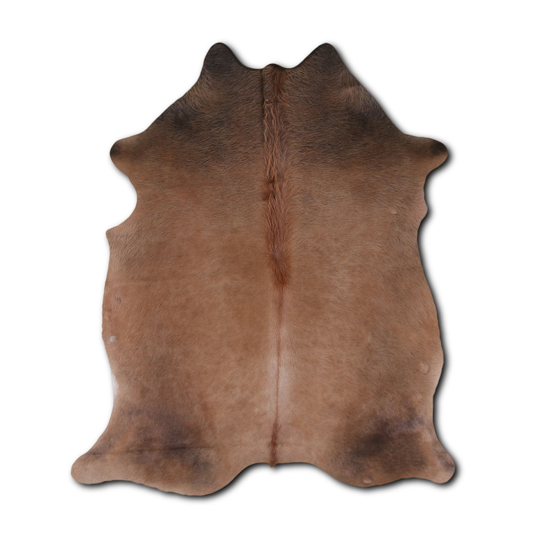 NATURAL HAIR ON COWHIDE TORNASOL MODA-DBK