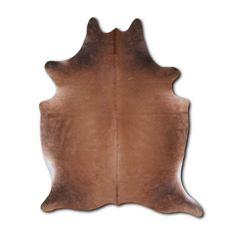 NATURAL HAIR ON COWHIDE TORNASOL MODA-DBK