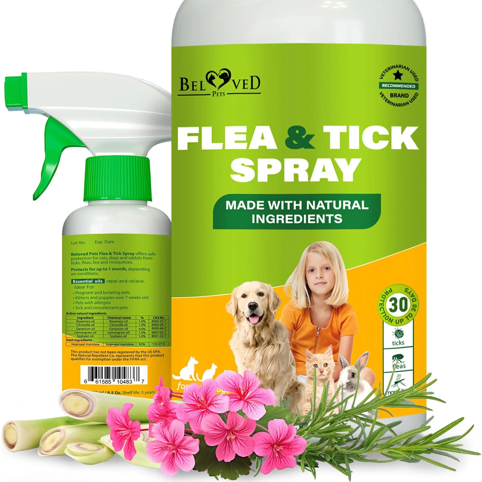 Natural Flea and Tick Home Spray for Dogs Cats & Ferret   Mosquito Bug Repellent & Carpet Flea Killer   Pet Pest Control & House Flea Treatment Indoor   Organic Prevention for Safe Beloved Pets