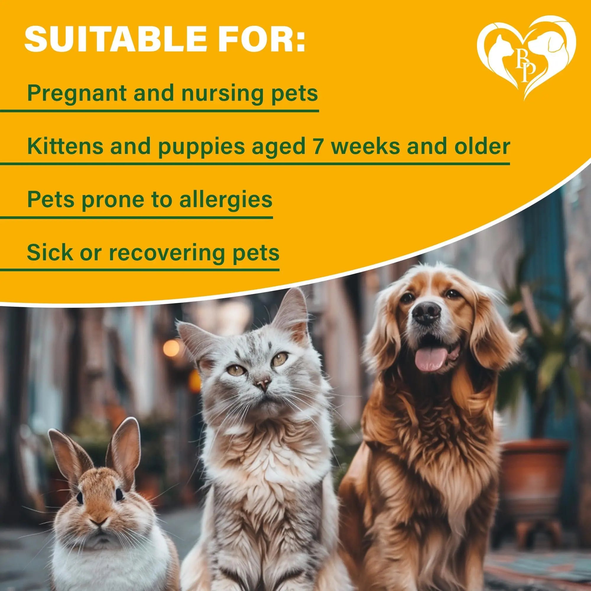 Natural Flea and Tick Home Spray for Dogs Cats & Ferret   Mosquito Bug Repellent & Carpet Flea Killer   Pet Pest Control & House Flea Treatment Indoor   Organic Prevention for Safe Beloved Pets