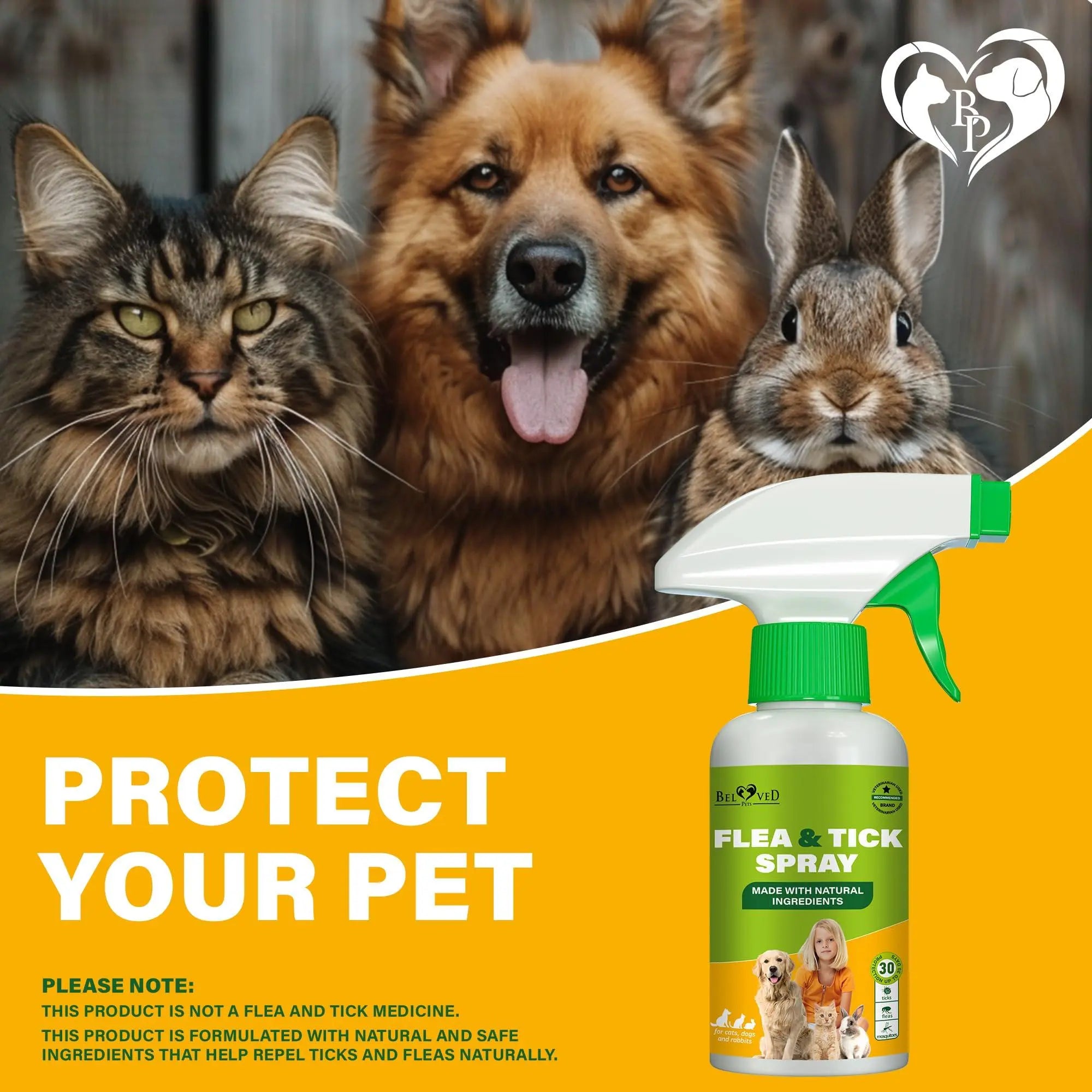 Natural Flea and Tick Home Spray for Dogs Cats & Ferret   Mosquito Bug Repellent & Carpet Flea Killer   Pet Pest Control & House Flea Treatment Indoor   Organic Prevention for Safe Beloved Pets