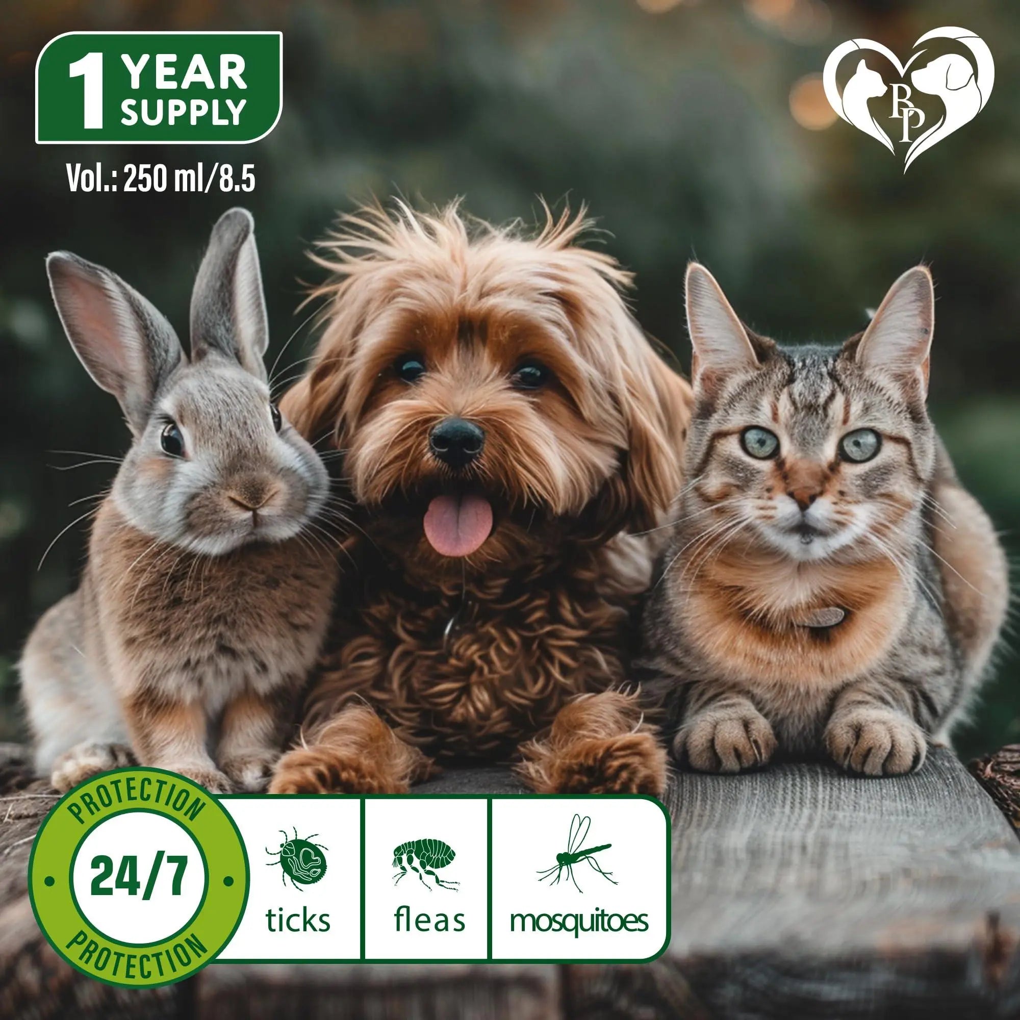 Natural Flea and Tick Home Spray for Dogs Cats & Ferret   Mosquito Bug Repellent & Carpet Flea Killer   Pet Pest Control & House Flea Treatment Indoor   Organic Prevention for Safe Beloved Pets