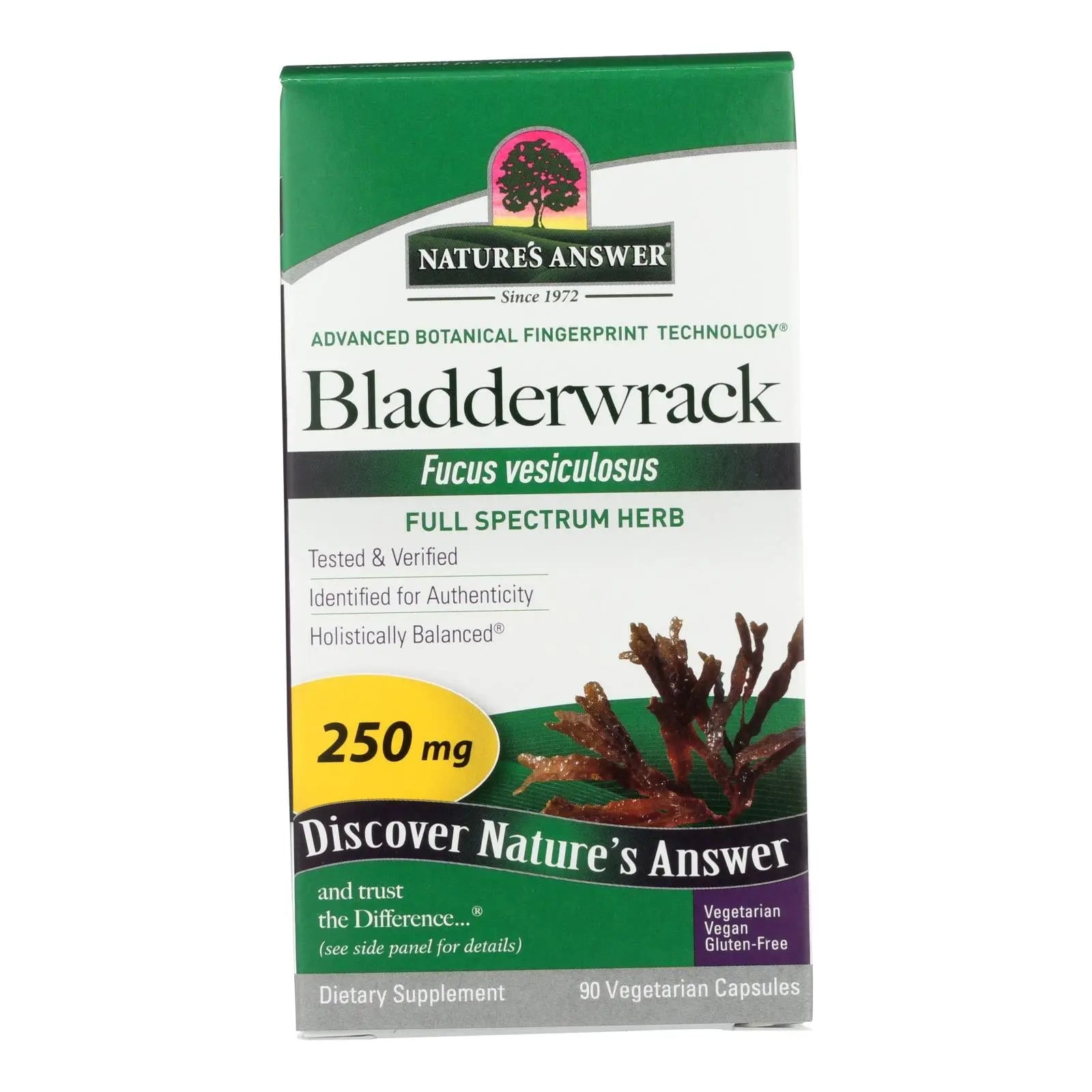 Nature's Answer - Bladderwrack Thallus - 90 Vegetarian Capsules Nature's Answer