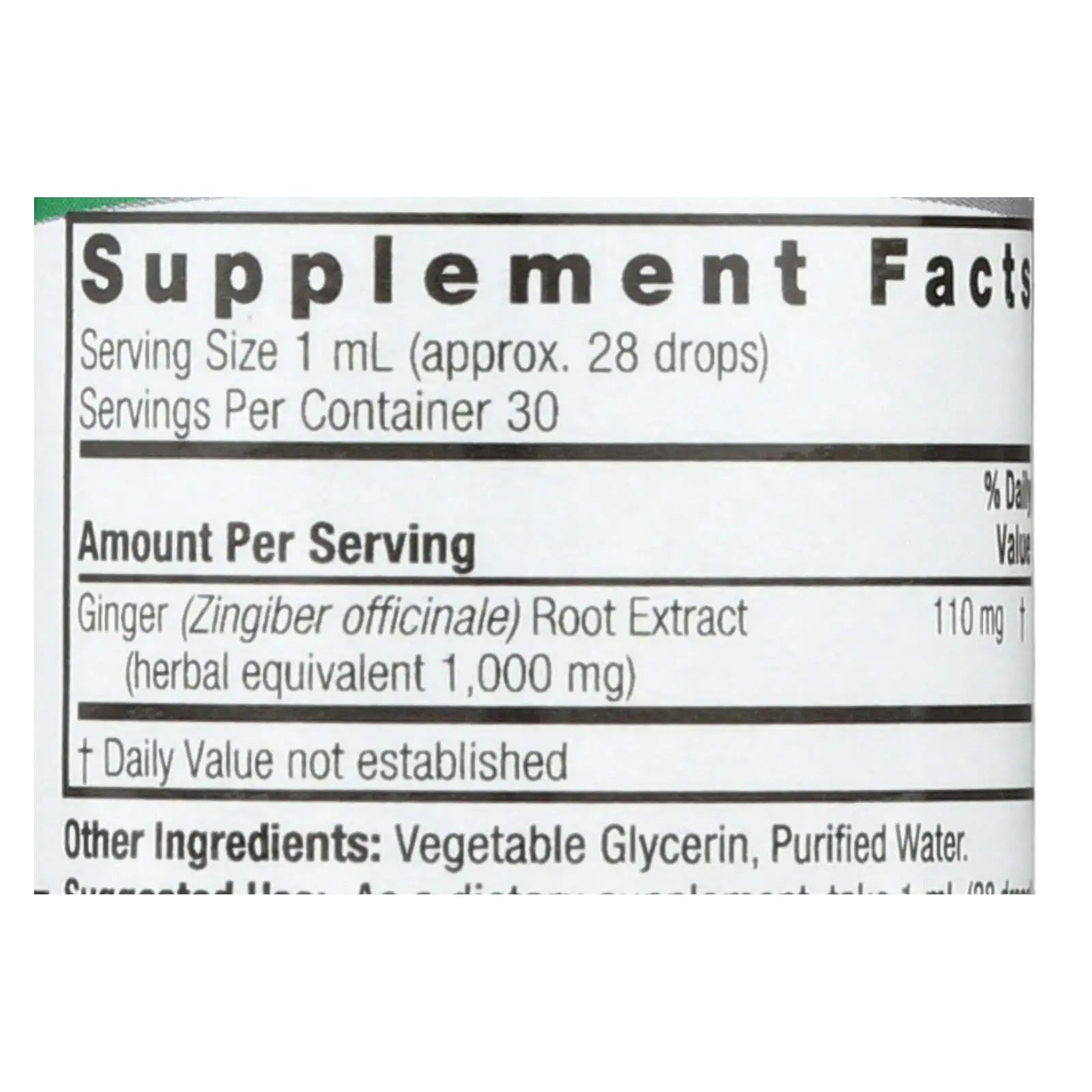 Nature's Answer - Ginger Root Alcohol Free - 1 Fl Oz Nature's Answer